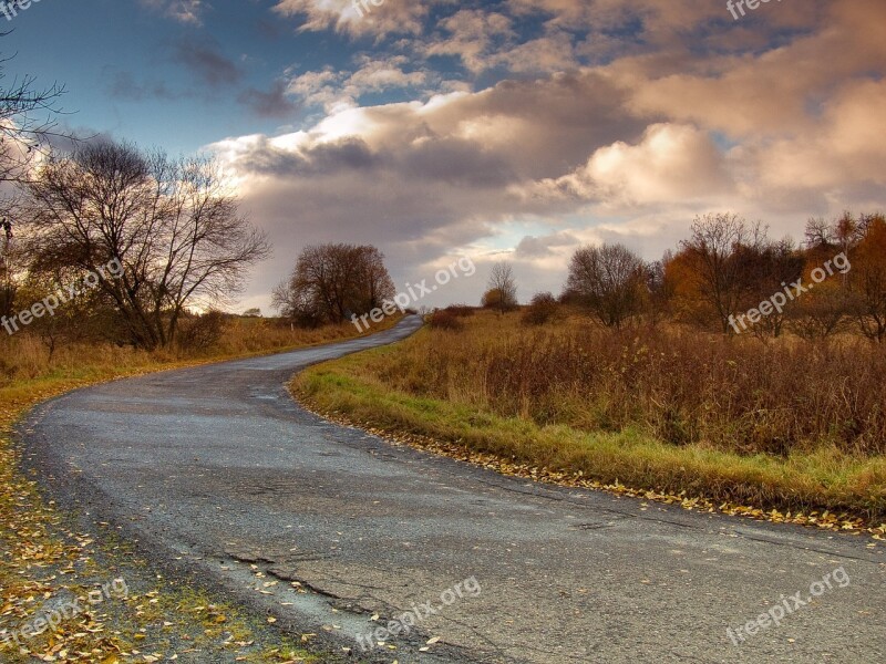 Path Spring Nature Landscape Sky