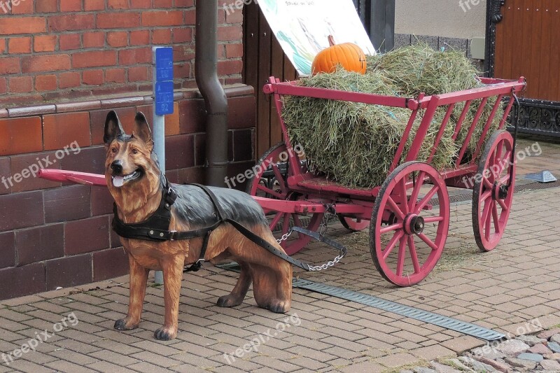 Handcart Figure Dog Cannon Cars Hay