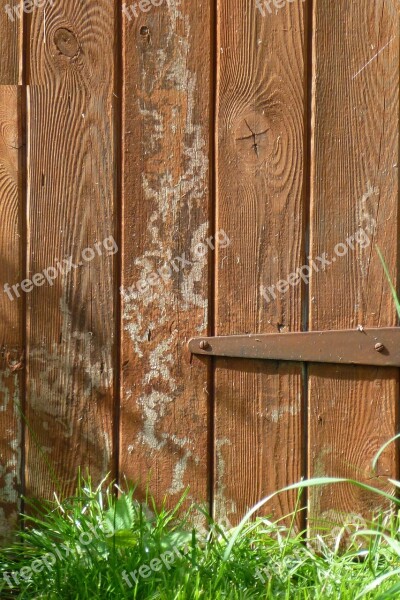 Shed Door Rustic Wasp Marks Wasps Making Nest Building