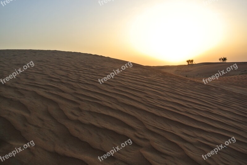 Desert Sunset Camels Landscape Sand