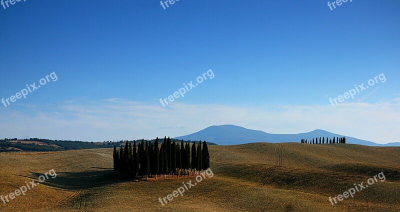 Toscana Landscape Mood Cypress Free Photos