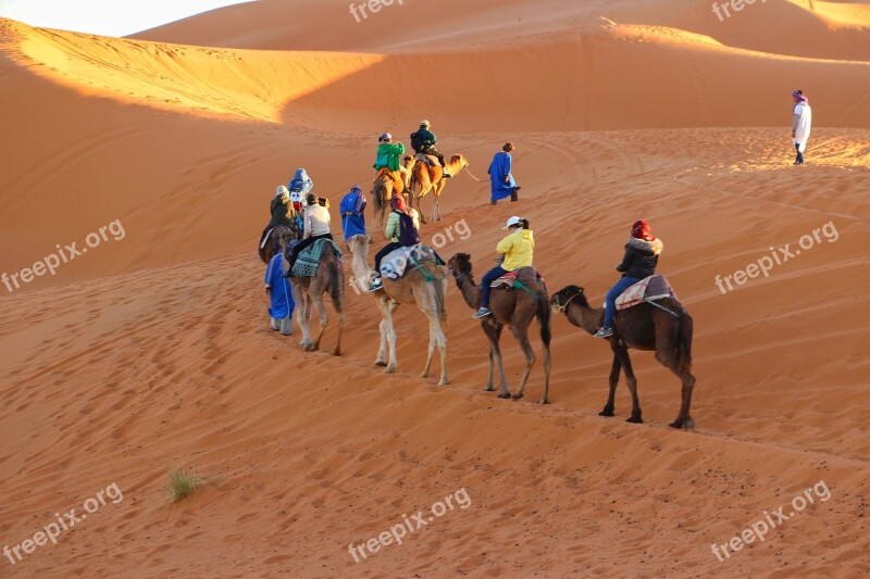 Caravan Camel Riding Trip Sand Dunes Golden Sands