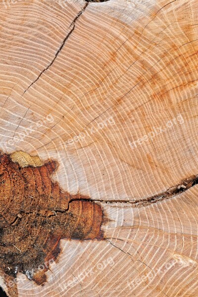 Wood Texture Node Old Table