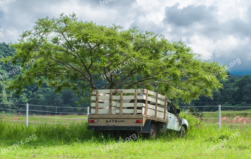 Truck Tree Landscape Colima Broken Truck