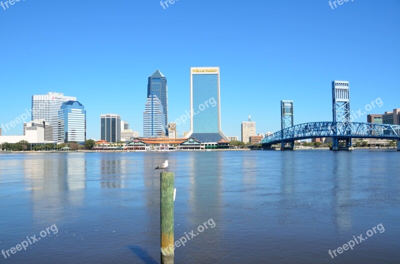 Jacksonville Florida Skyline Tourism River