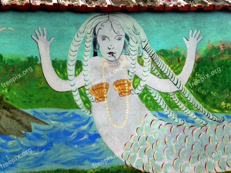 Mermaid Woman Bikini Her Tail