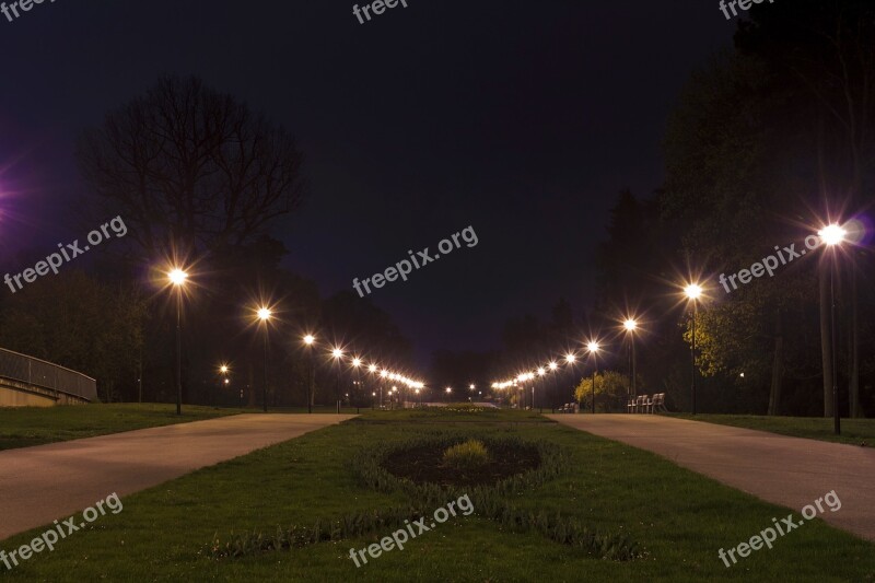 Night Park Dark Olomouc Nature