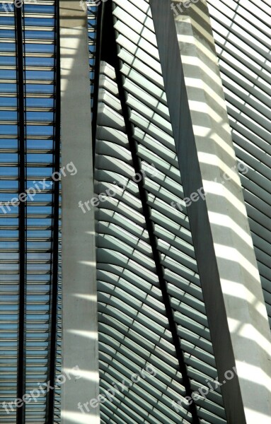 Santiago Calatrava Architecture Liège Train Station Cork-guillemins