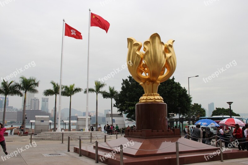 Hong Kong Redbud Square Free Photos