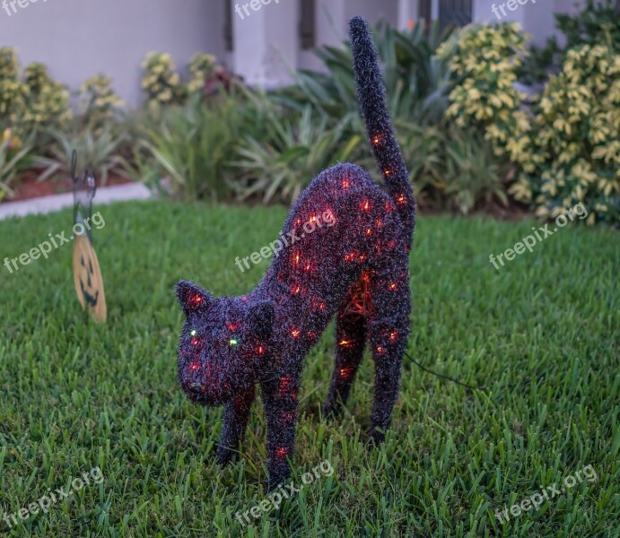 Halloween Decorations Cat Spooky Colorful Illuminated