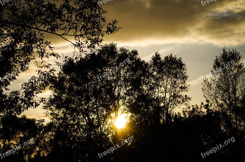 The Silhouette Sunset In The Evening Free Photos