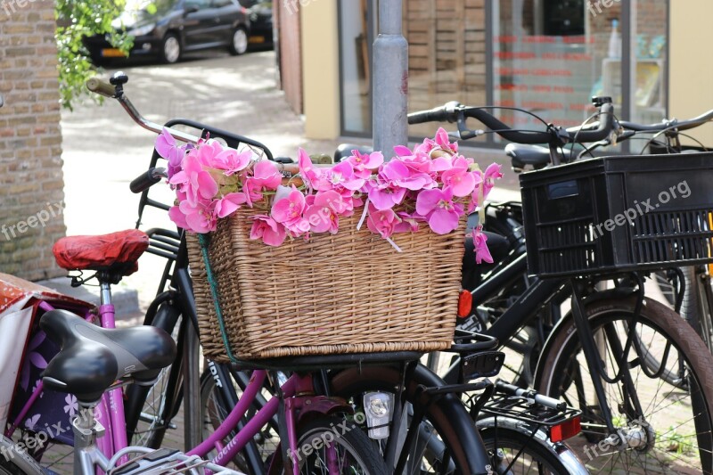 Bicycle Basket Flowers Pink Holland Wheel Decoration