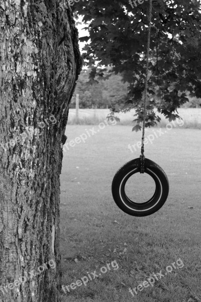 Tire Tire Swing Swing Tree Pasture