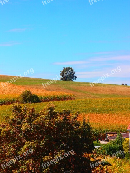 Agriculture Landscape Nature Rural Tree