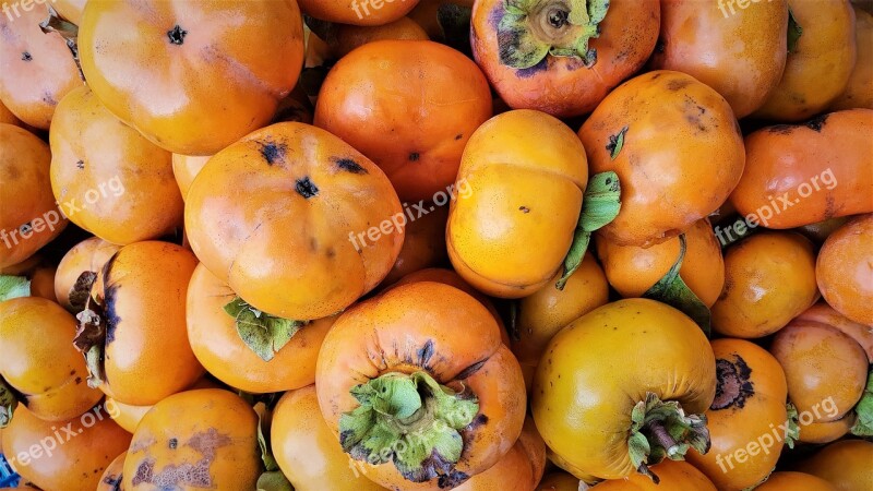 Autumn Fruit Persimmon Free Photos