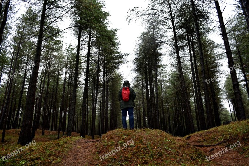 Outdoors Forest Landscape Nature Trees