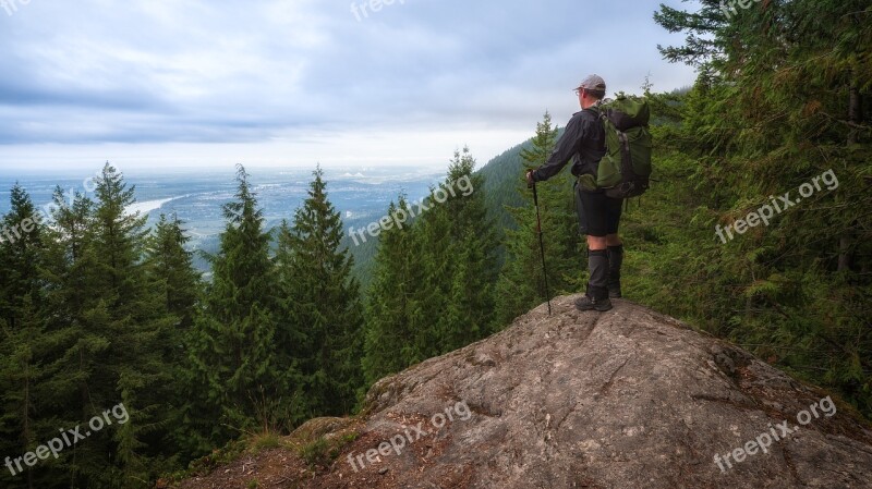 View Man Forest Hiking Standing