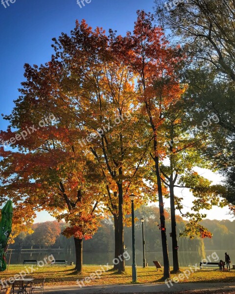 Park Kraków Nowa Huta Bay Nowohucki Autumn