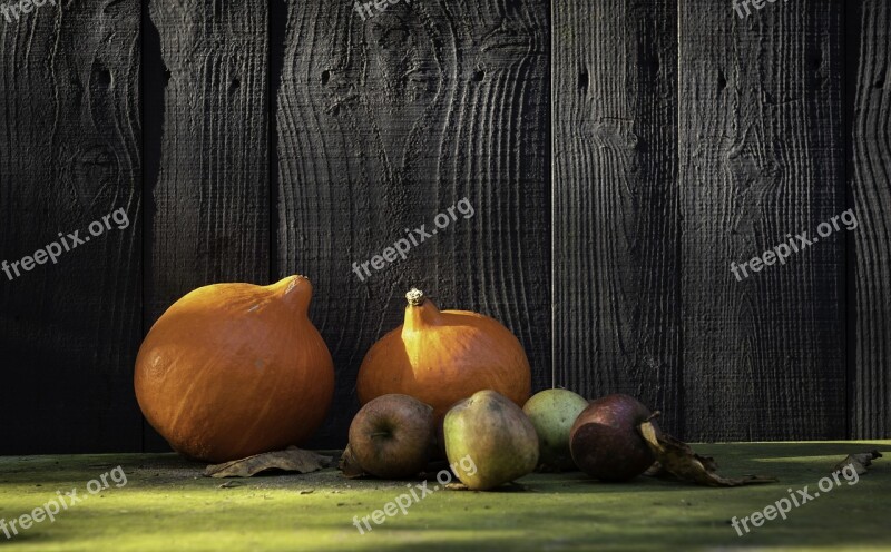 Pumpkin Autumn Autum October Orange