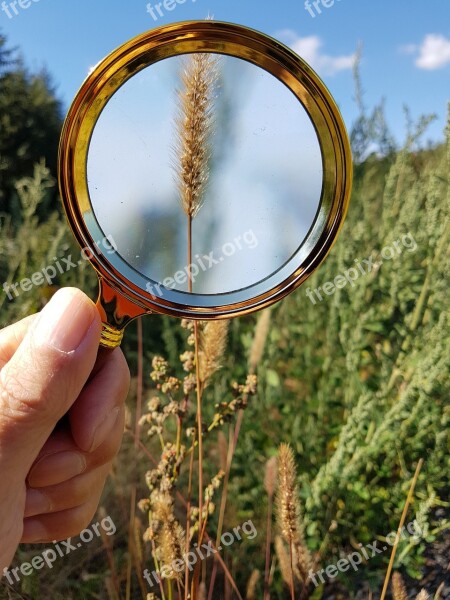 Magnifying Glass Magnification Nature Hand Grass