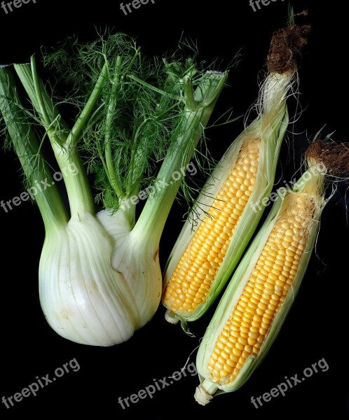 Fennel Corn Vegetables Fresh Organic