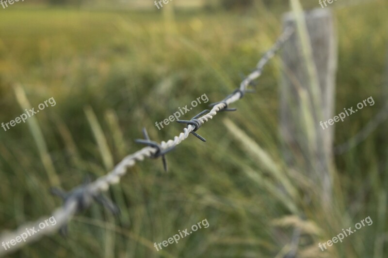 Barbed Wire Meadow Barrier Dune Border