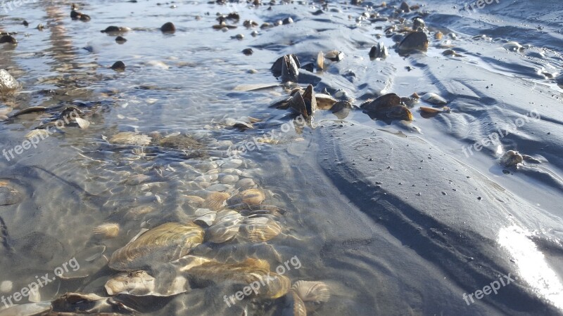 Nature Watts Cuxhaven Ebb North Sea