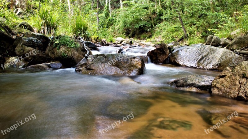 River Riera Natural Park Gualba Montseny