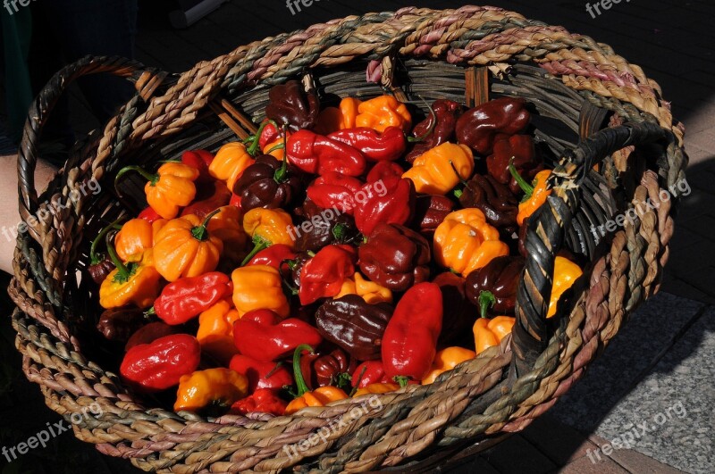 Peppers Chilis Chili Peppers Cooking Spicy