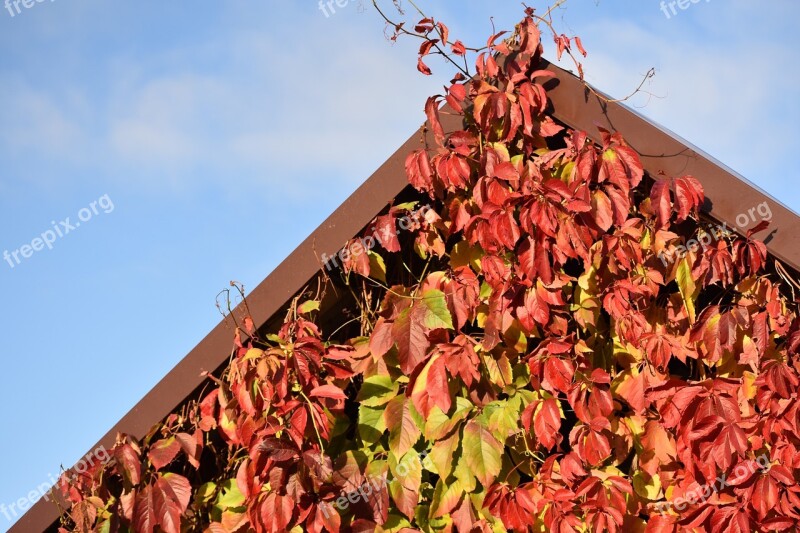 Autumn Leaves Red Yellow Whip