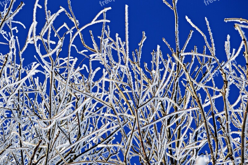 Winter Snow Landscape Nature Cold