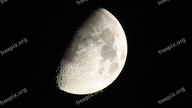 Moon Night Moon Phases Free Photos