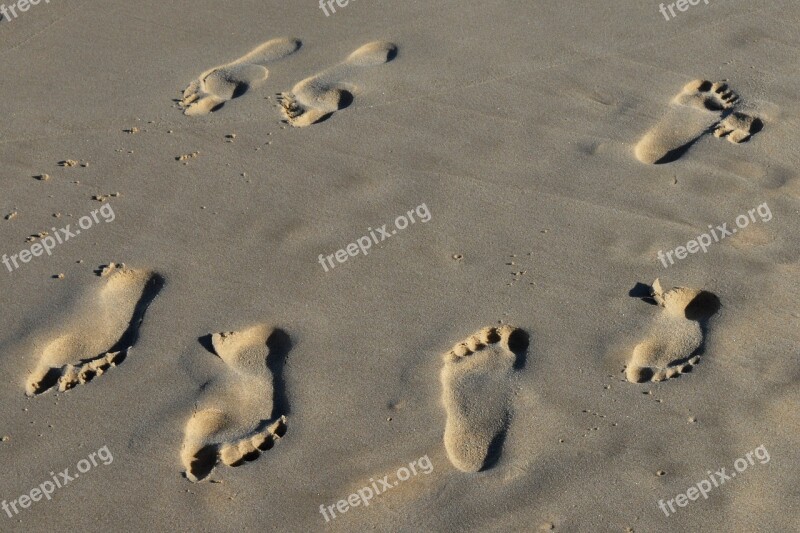 Footprint Tracks In The Sand Beach Free Photos