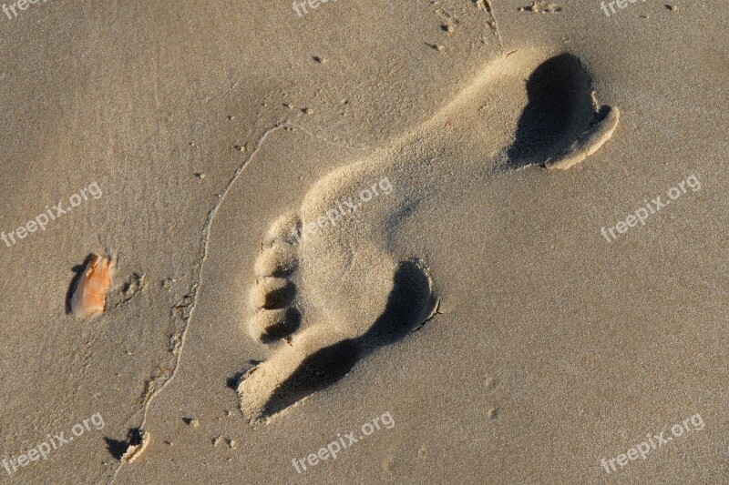 Footprint Tracks In The Sand Sand Free Photos