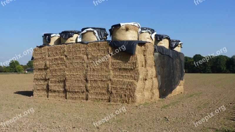 Agriculture Straw Straw Bales Round Bales Autumn