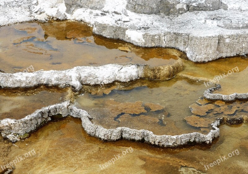 Sulfur Water Yellow National Park Yellowstone