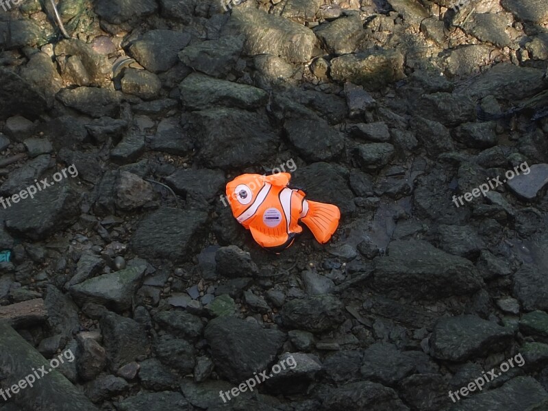 Stranded Fish River Thames London England