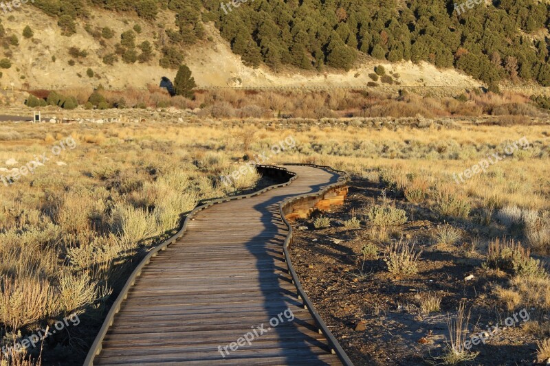 Trail Pier Hike Outdoor Path