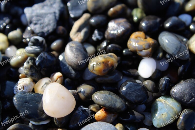 Pebble Stone Rock Nature Sea