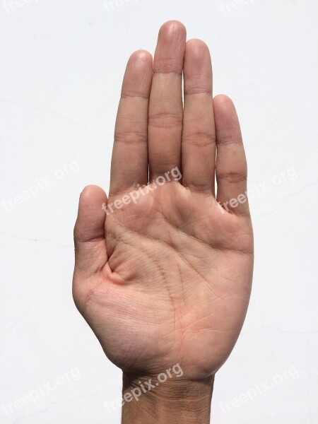 Palm Hand Finger Bleaching Palm Reading