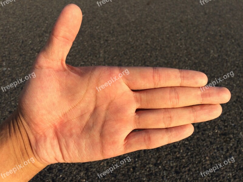 Hand Finger Skin Palm Male