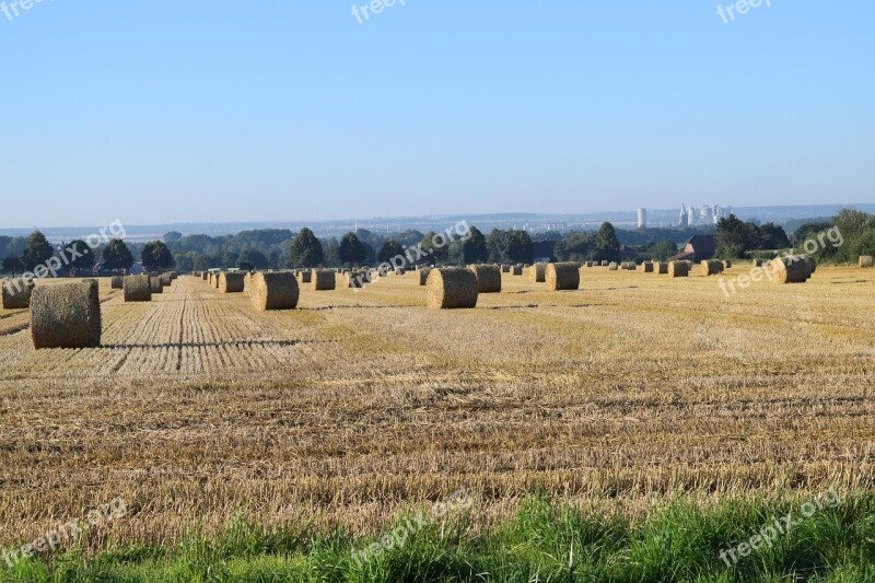 Harvest Straw Bales Round Bales Agriculture Field Crops