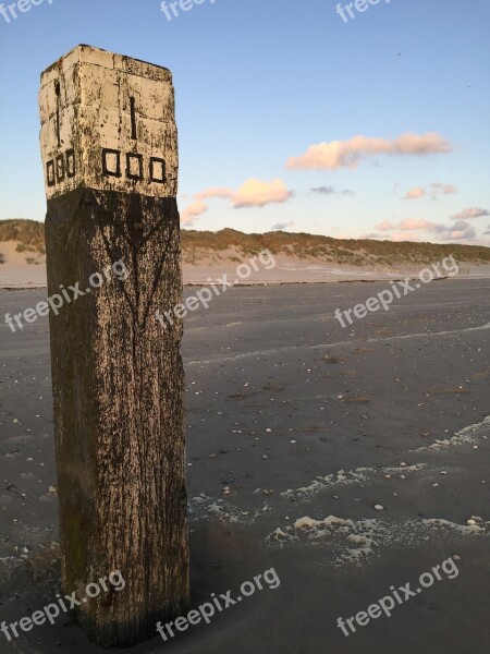 Ameland Beach Dog Vacations Longing