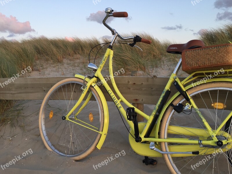 Ameland Beach Dog Vacations Longing