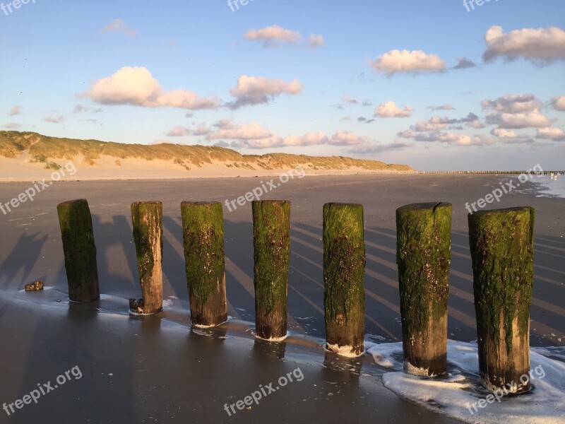 Ameland Beach Dog Vacations Longing