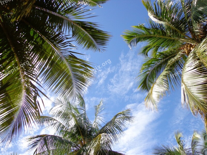 Sky Beach Blue Sky Nature Litoral