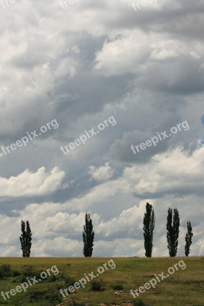 Poplars Clouds Landscape Countryside Trees