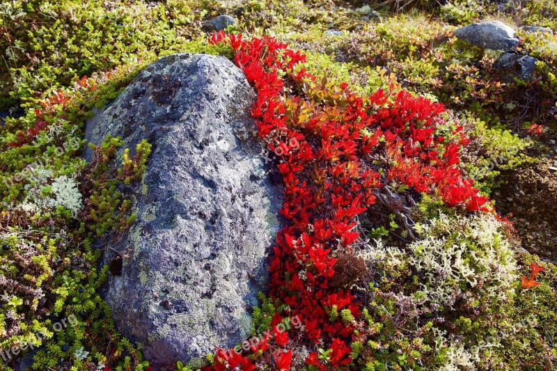 Mountain Hiking Norway Landscape Autumn