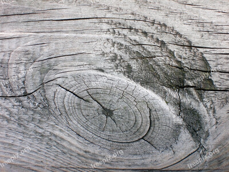 Wood Grain Board Wooden Structure Knothole