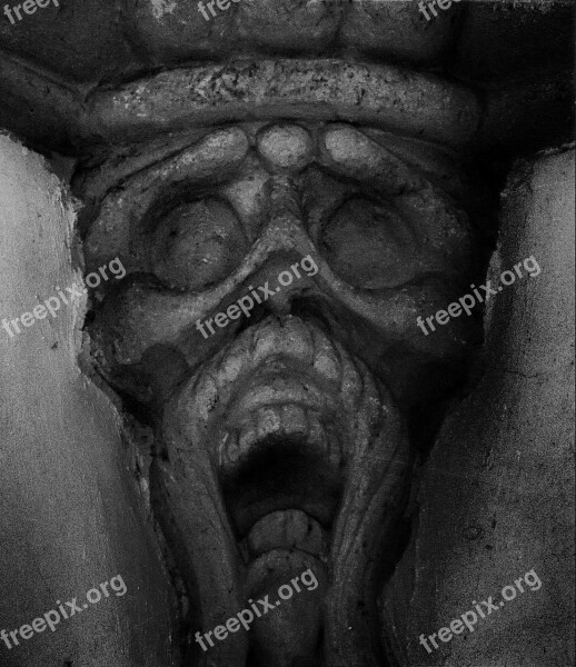 Scream Face Distorted Fear Free Photos